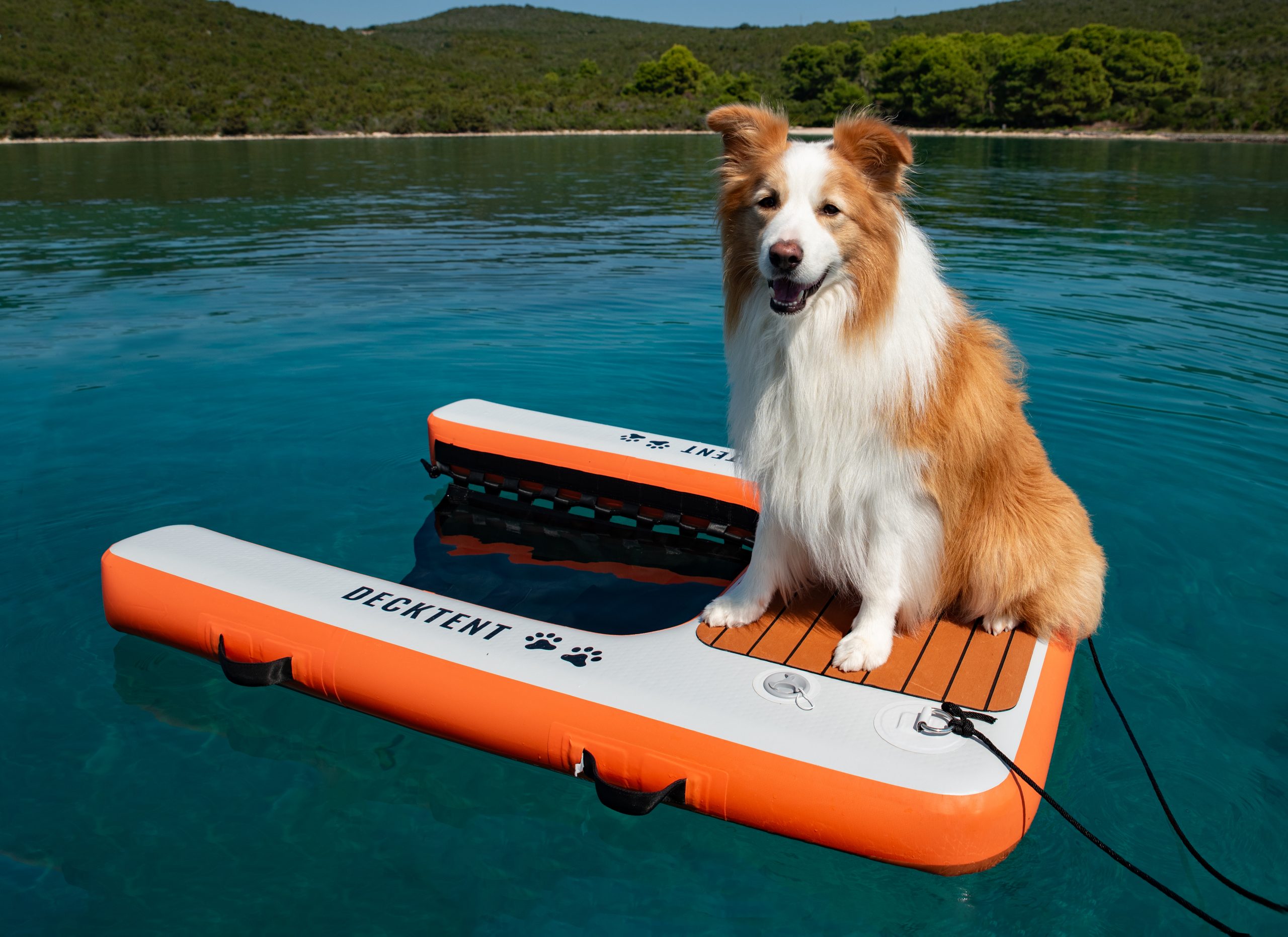DOG RAMP